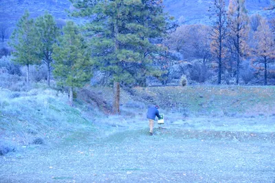 DSC_0927 (Large).JPG